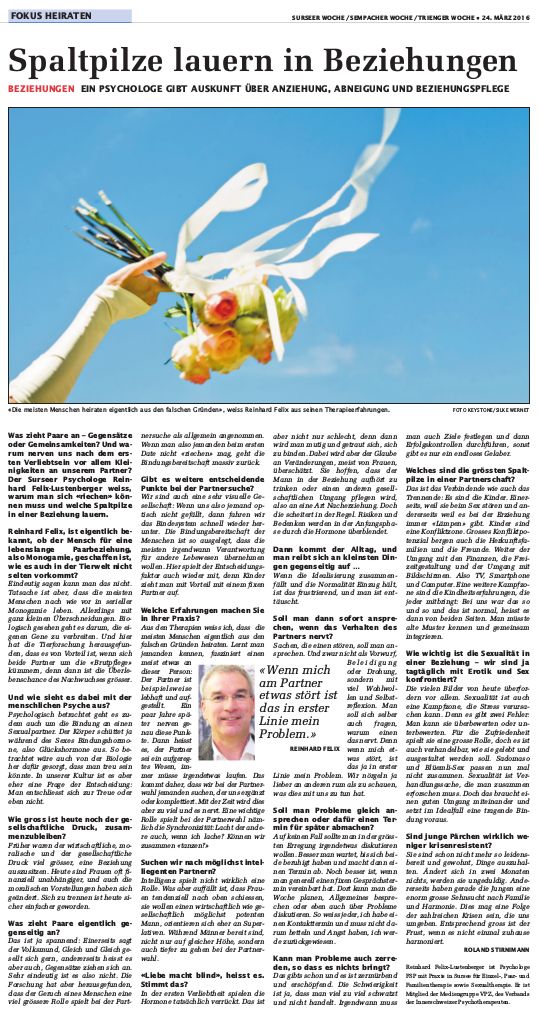 Abbildung Artikel Spaltpilze